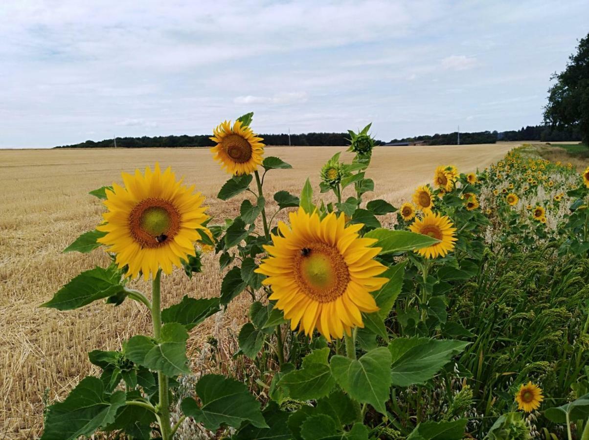 Gîte du Soleil Anhée Extérieur photo